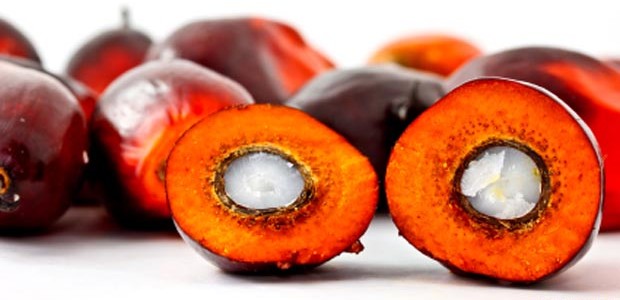 oil-palm-fruit