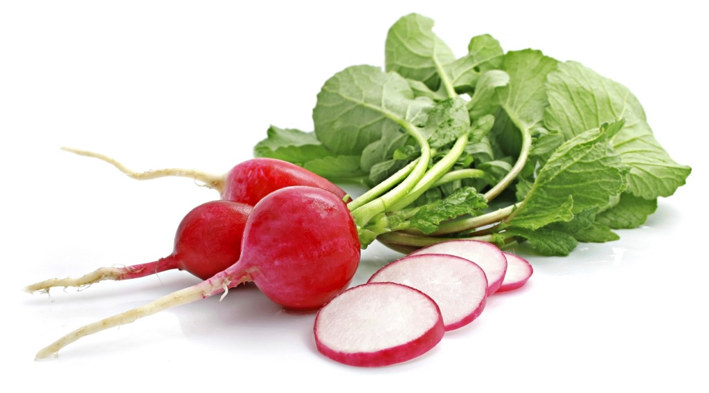 bunch fresh radish with cut isolated on white background